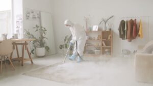 Soluții eficiente pentru combaterea dăunătorilor: Servicii deratizare oferite de firme DDD profesionale