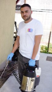 Exterminare plosnite firma DDD – cum se face tratamentul in apartamentele cu pardoseala din lemn