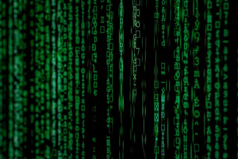Digitalizarea serviciilor publice și impactul asupra cetățenilor europeni