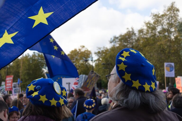 Implicarea statelor membre în scutul european de democrație