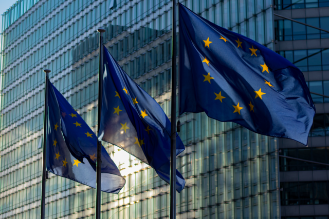 Steaguri ale Uniunii Europene arborate în fața unei clădiri administrative moderne